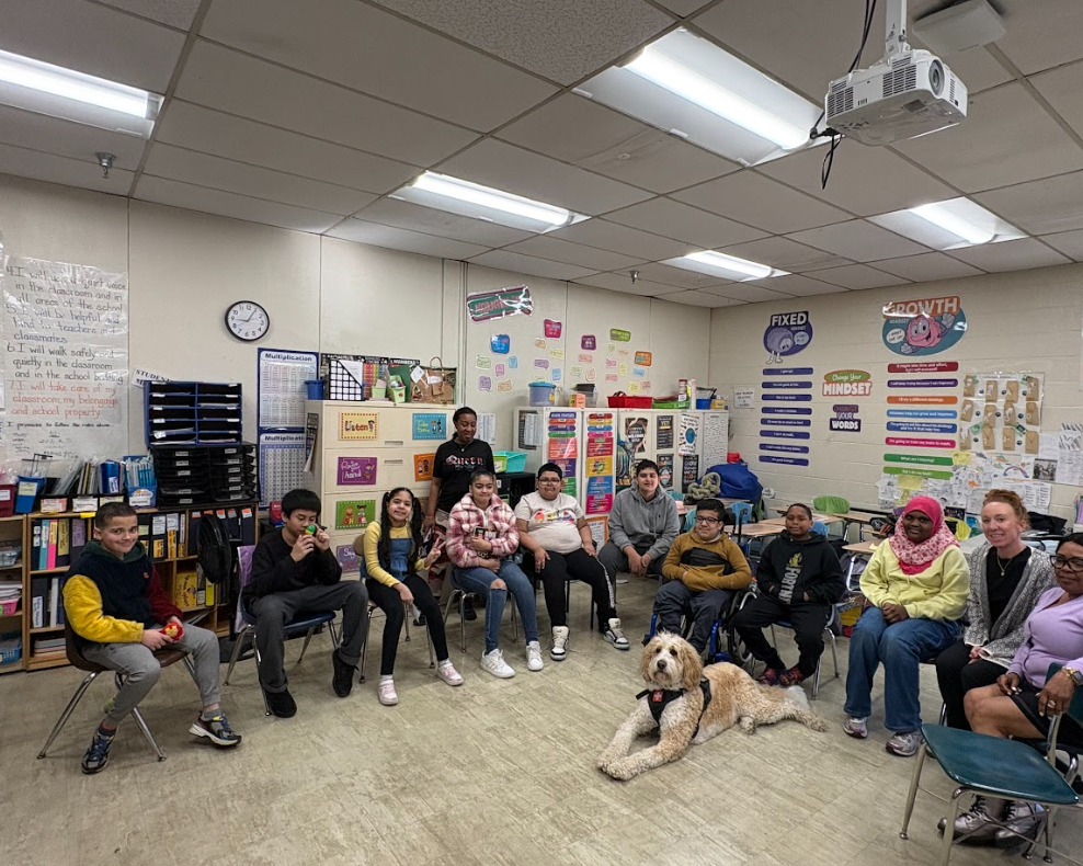 Danny the dog visit to carrigan