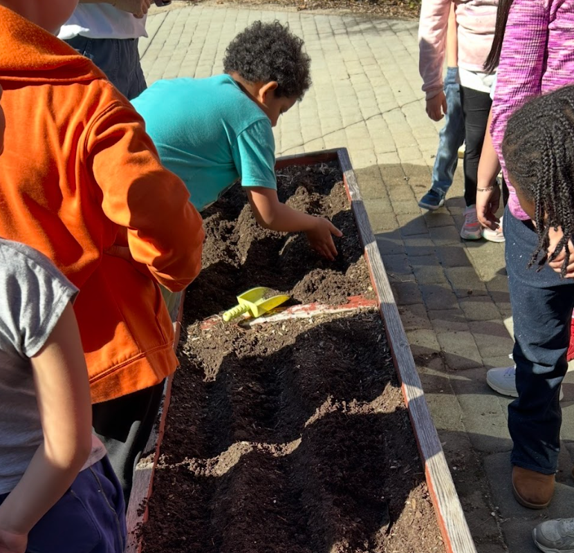 Garden Planting 