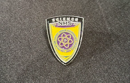 pin