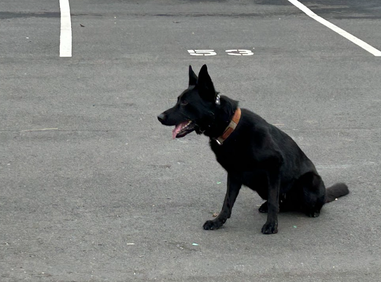 WHPD Visit