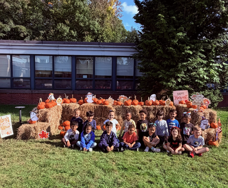 Pumpkin Patch
