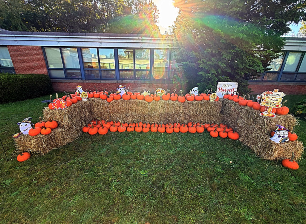 Pumpkin Patch