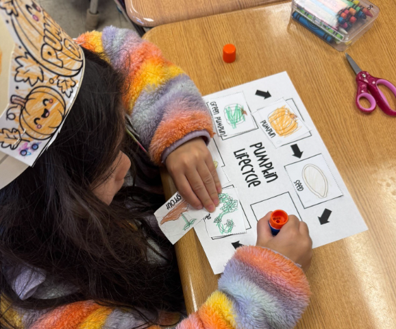 pumpkin day at Mackrille