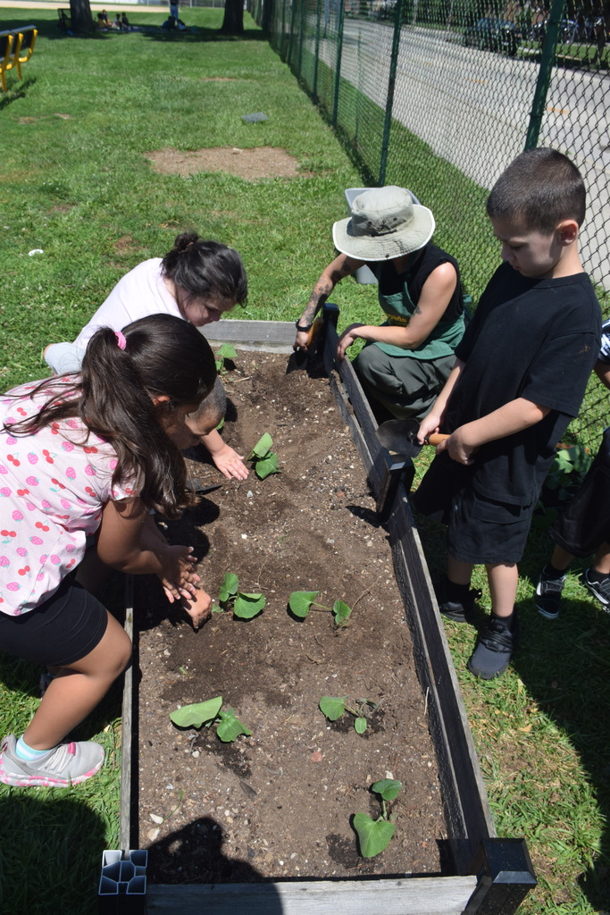 Photo of students gardening near playground.