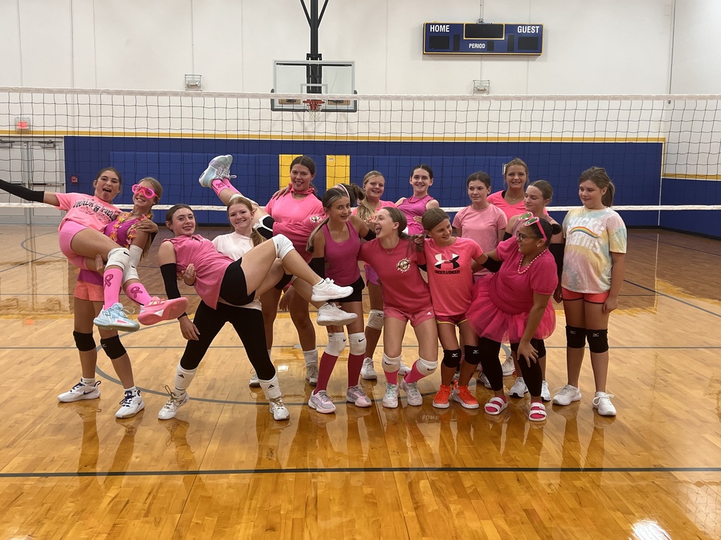 JHVB - Pink Out
