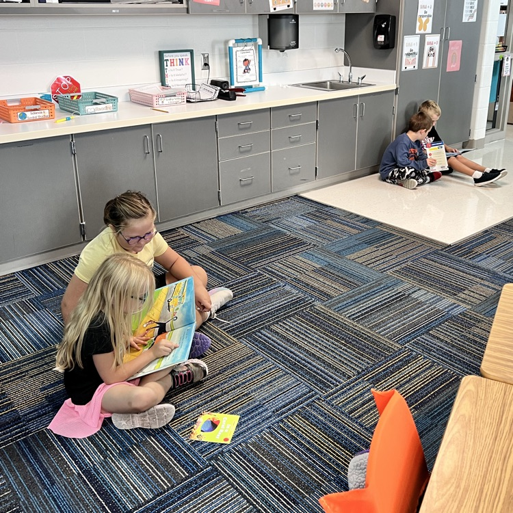 buddy reading