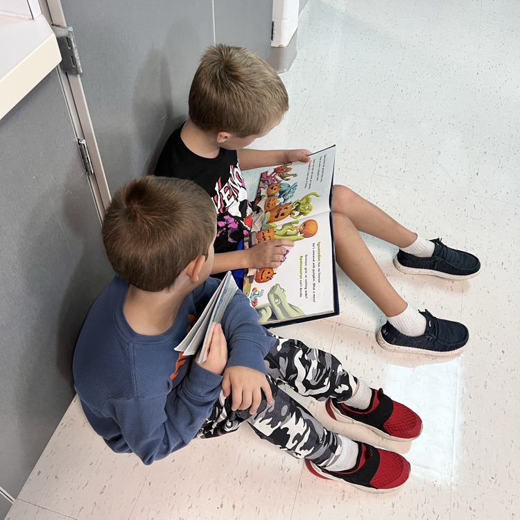 buddy reading