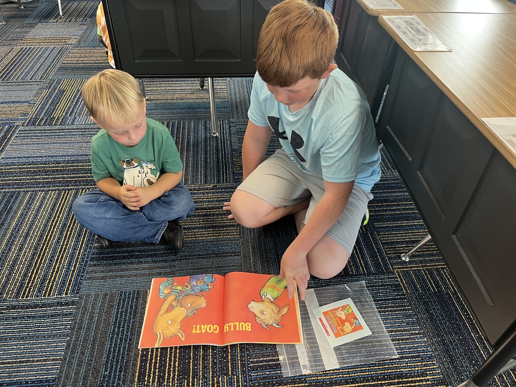 buddy reading