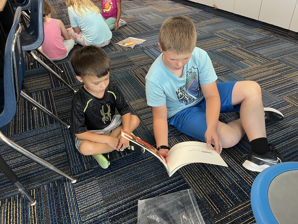 buddy reading