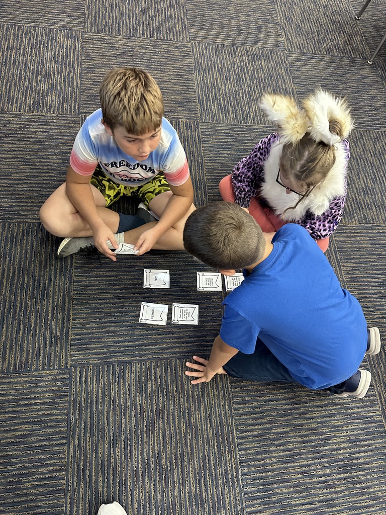 Students distinguishing between fact & opinion.