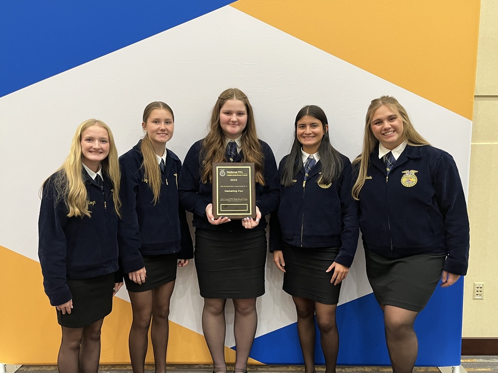 Marketing Plan earned a Silver Award