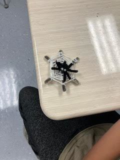 Students made webs out of yarn and popsicle sticks, and cute spiders made from pipe-cleaners and a pom-pom.