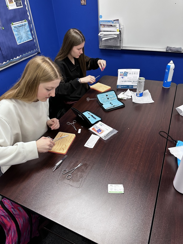 Vet Science practicing sutures