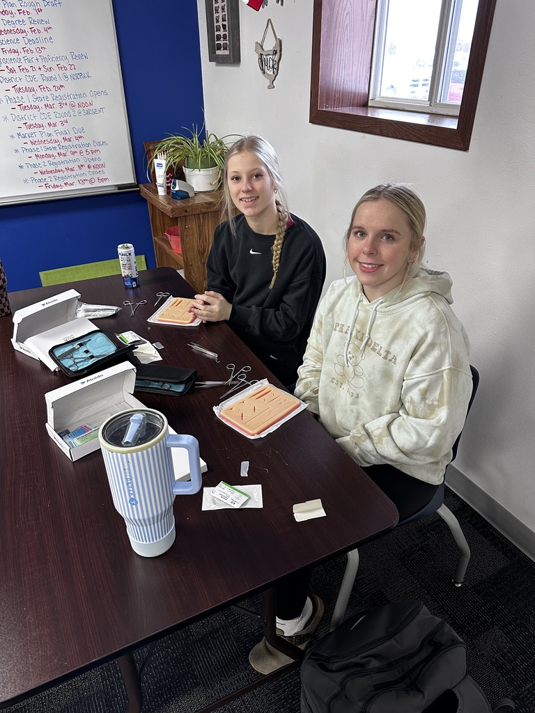Vet Science practicing sutures