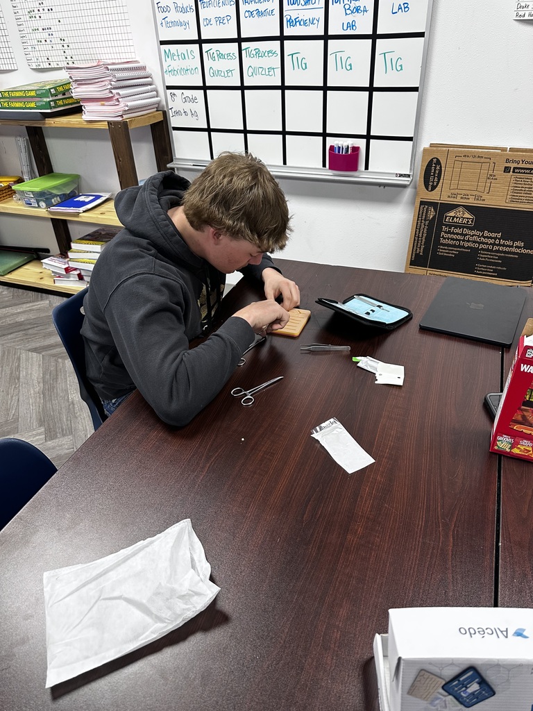 Vet Science practicing sutures