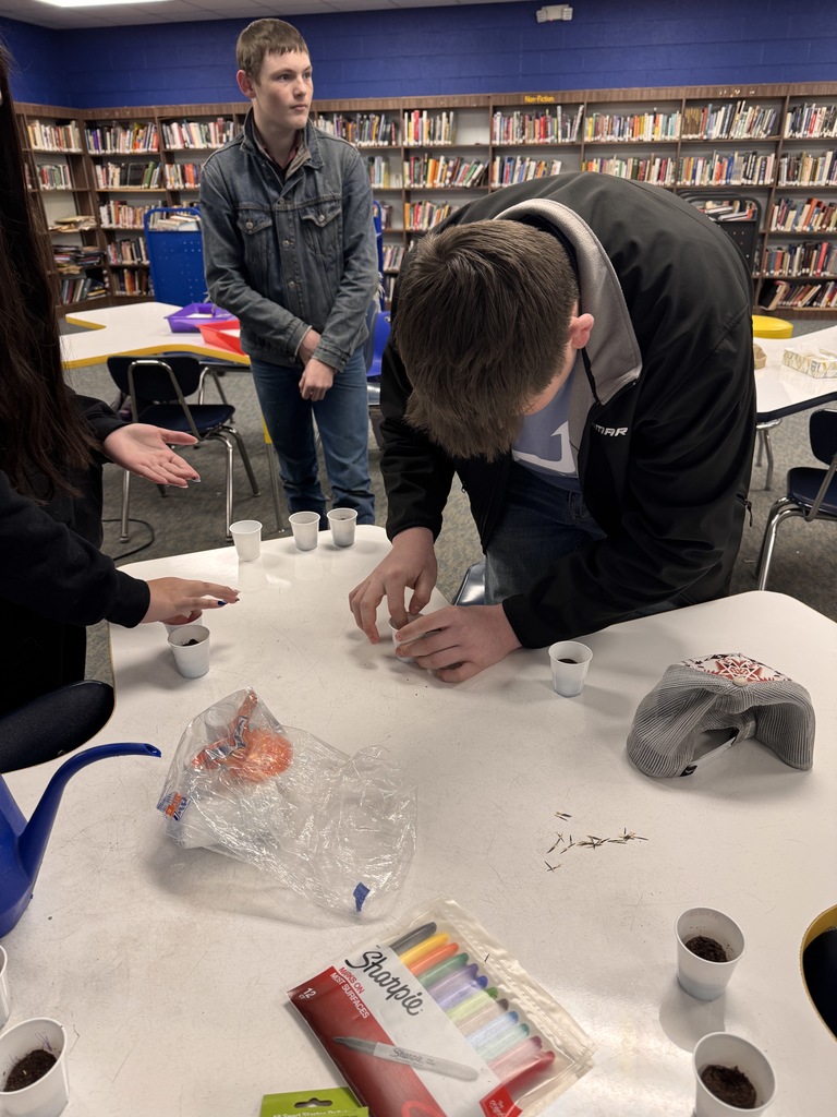 algebra planting seeds