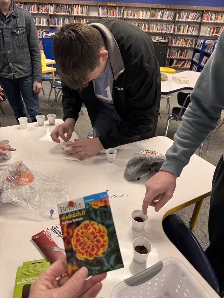 algebra planting seeds