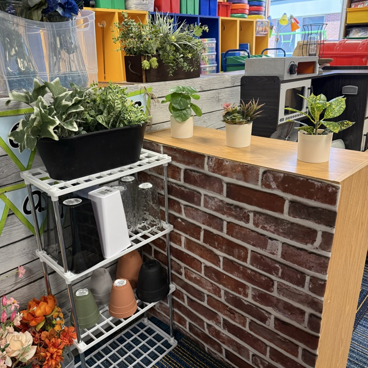 Various vases in varying sizes and shapes to explore capacity.