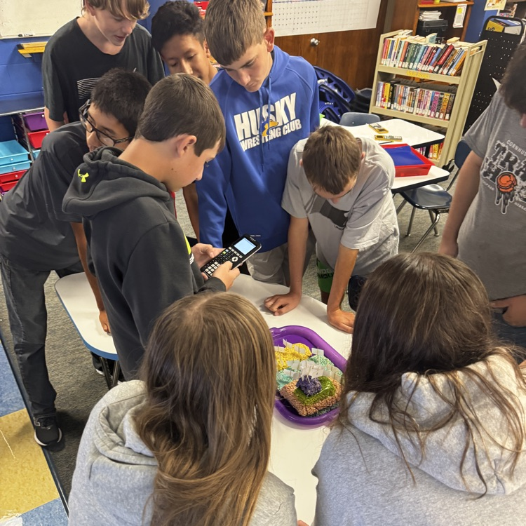 algebra activity