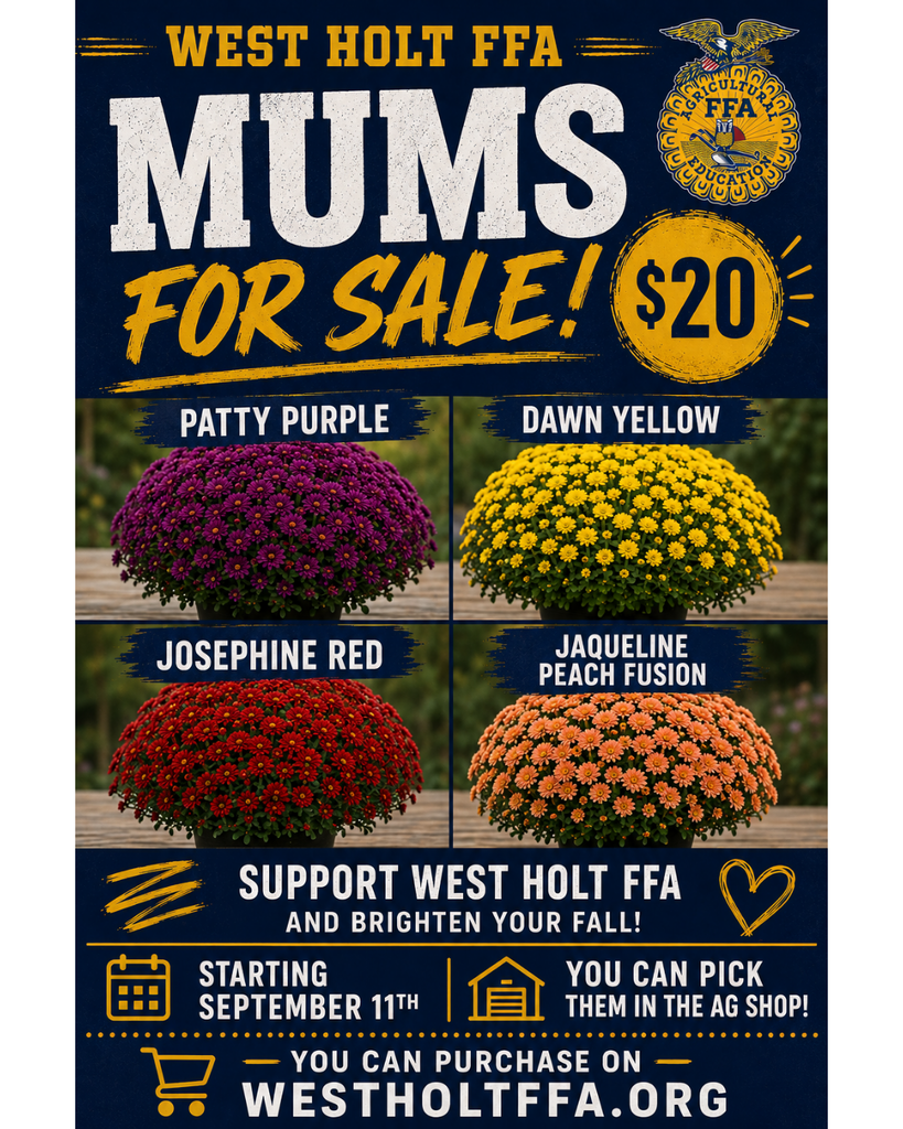 FFA Mums for Sale