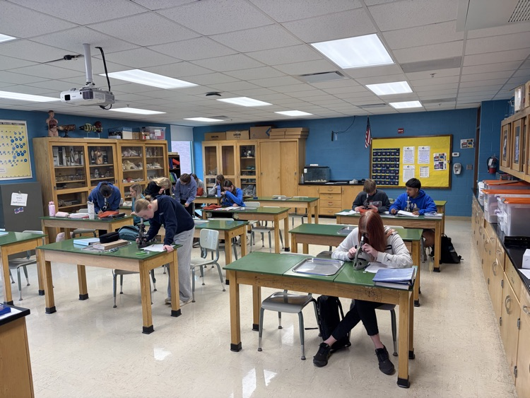 A&P students working with microscopes 