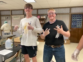 Physical Science chemical bonds lab 