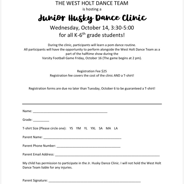dance clinic 