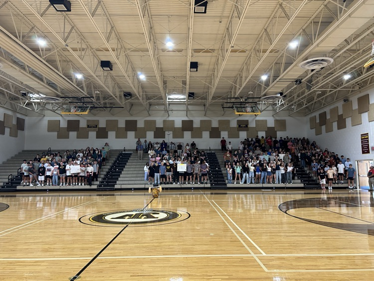 renaissance rally