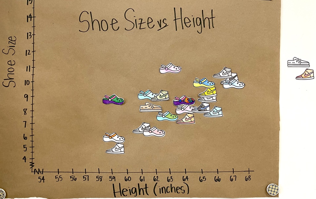 shoe size