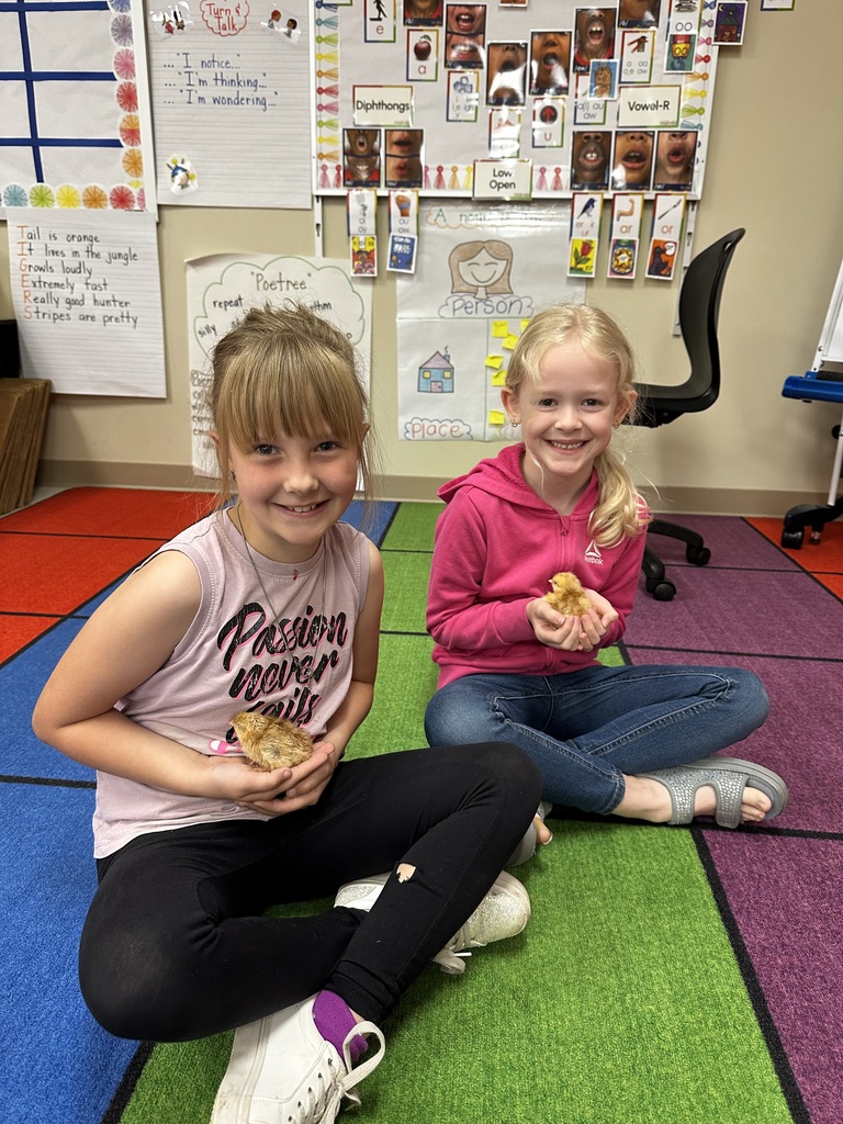 chicks