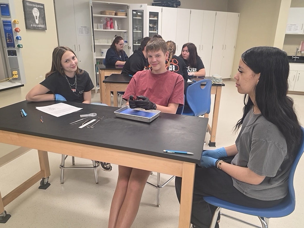 dissection