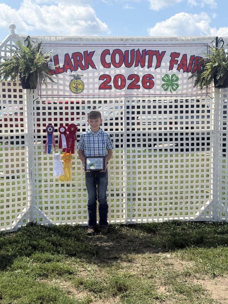 fair
