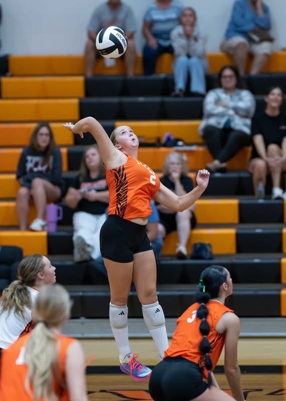 volleyball