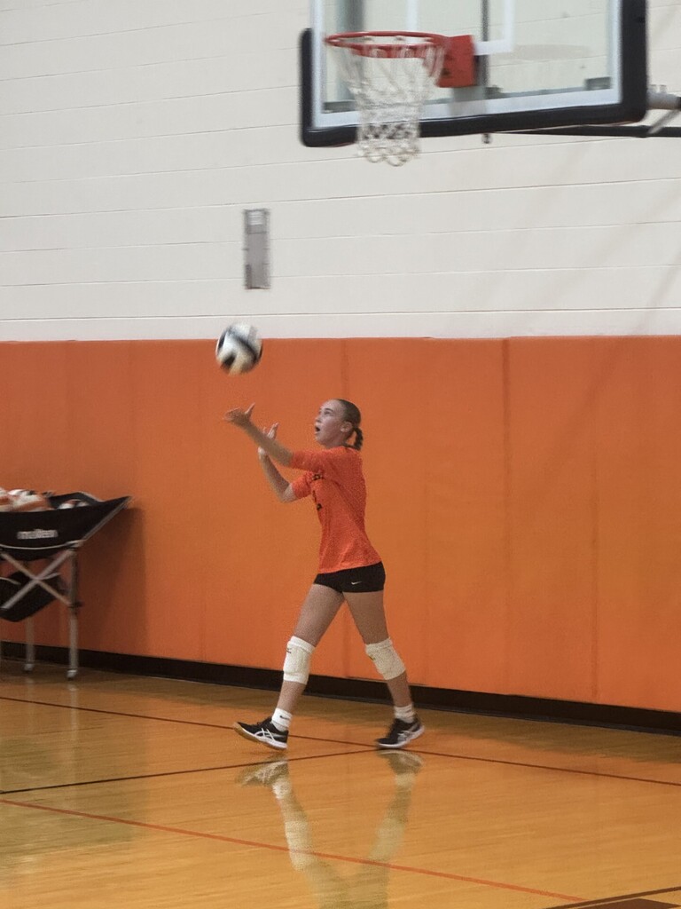 volleyball