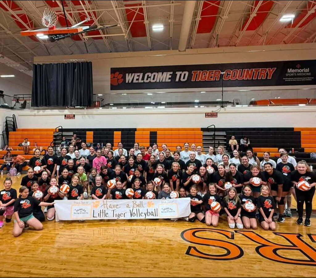 Little Tiger Volleyball