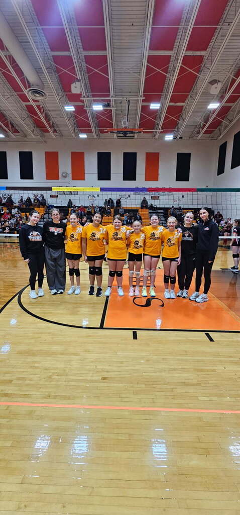 volleyball