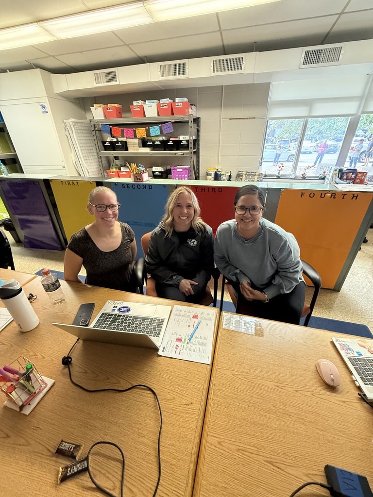 Instructional coaches