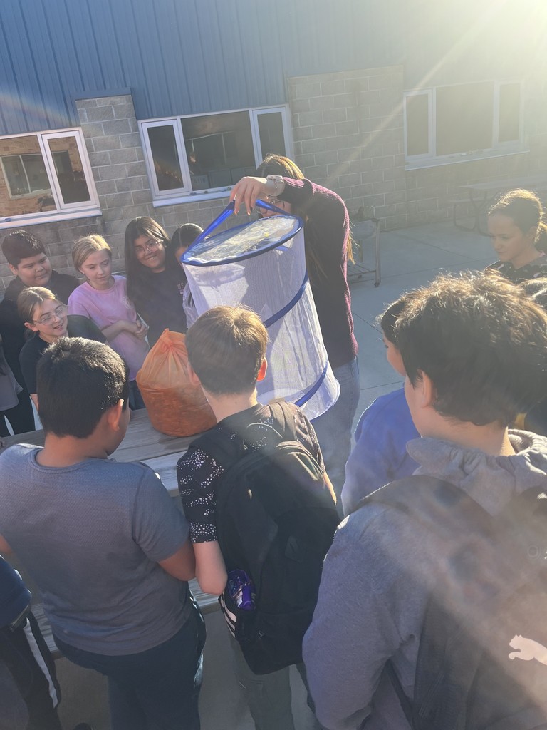 5th grade science classes releasing their butterflies!