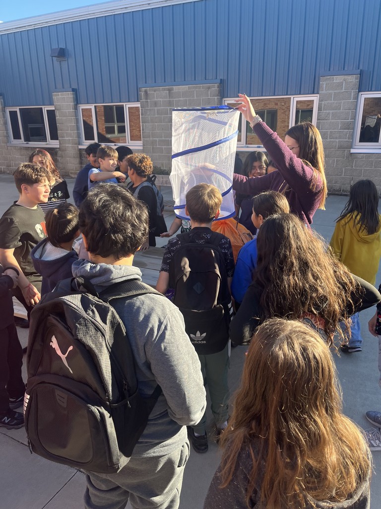 5th grade science classes releasing their butterflies!