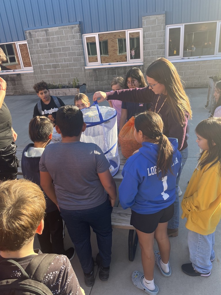 5th grade science classes releasing their butterflies!