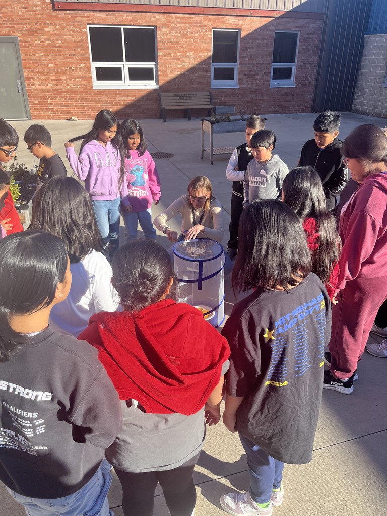 5th grade science classes releasing their butterflies!