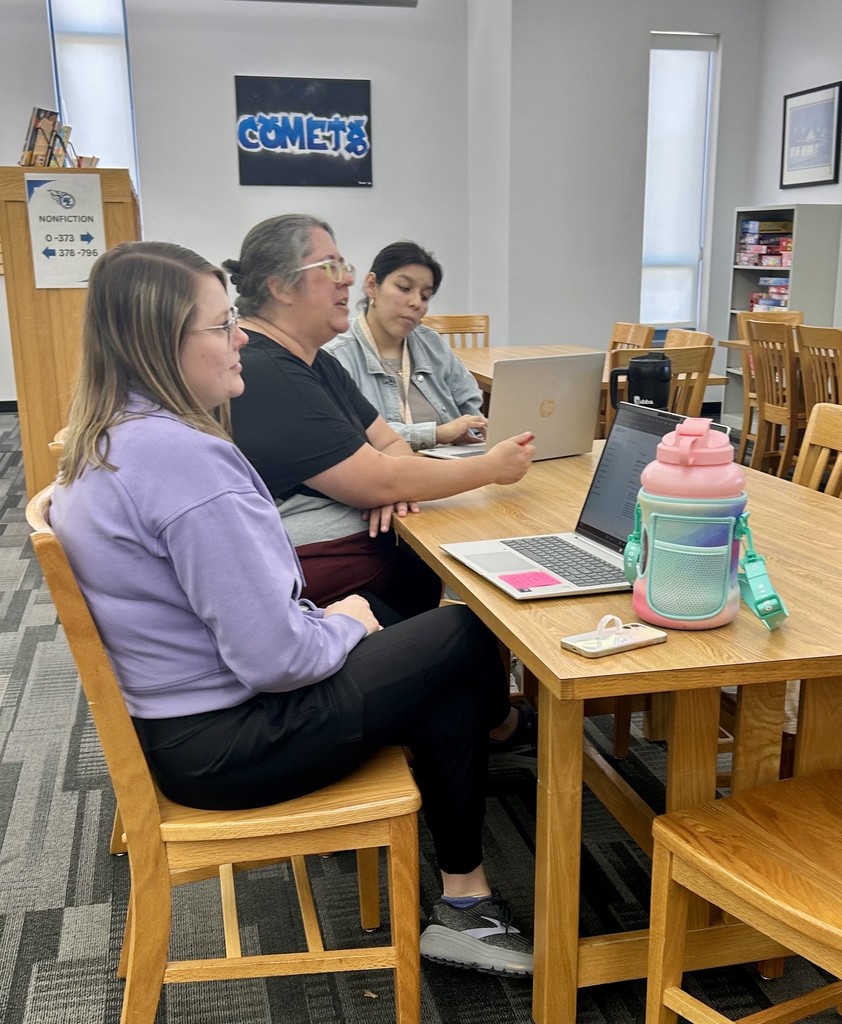 Tech Professional Development