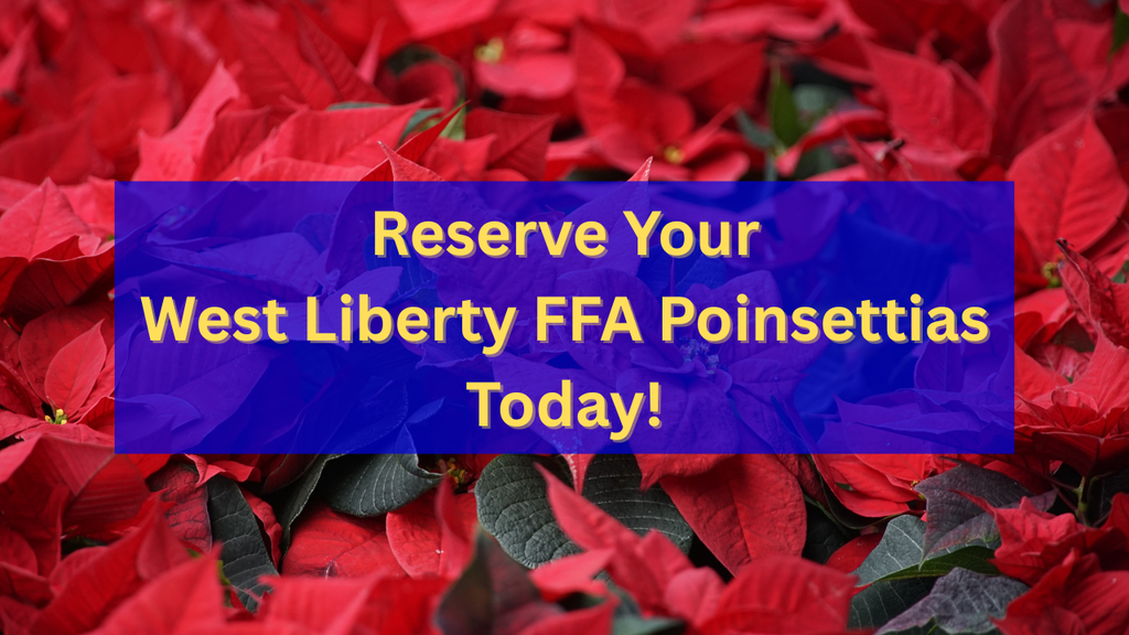 Reserve Your West Liberty FFA Poinsettias Today!