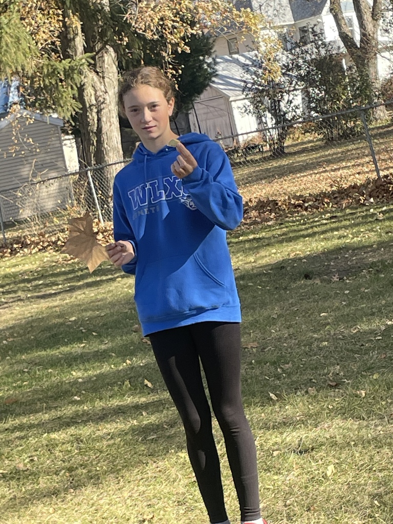 Fall is Fun! Mrs. Koenig style! 8th graders identifying which tree species have the largest stomata.