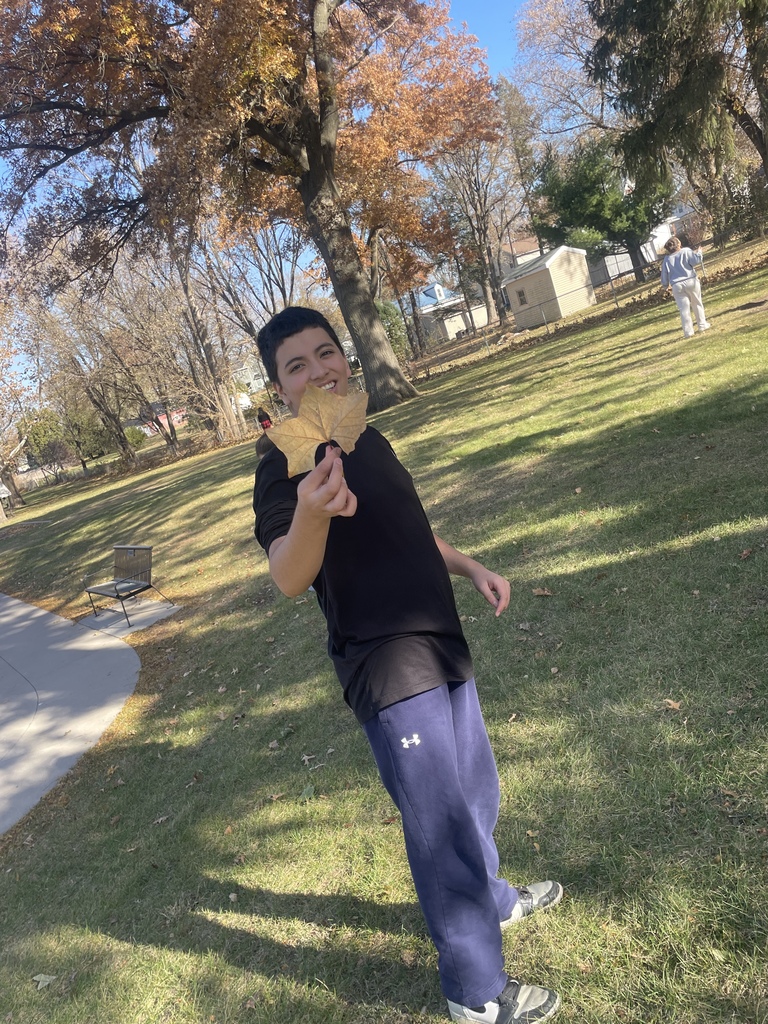 Fall is Fun! Mrs. Koenig style! 8th graders identifying which tree species have the largest stomata.