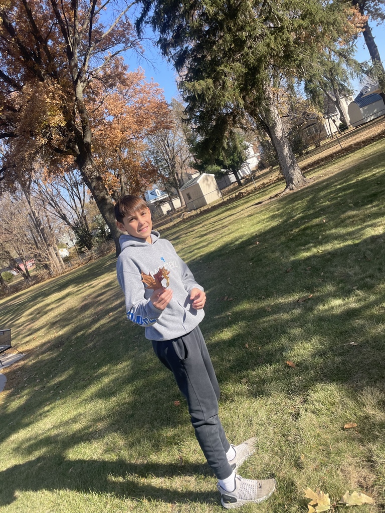 Fall is Fun! Mrs. Koenig style! 8th graders identifying which tree species have the largest stomata.