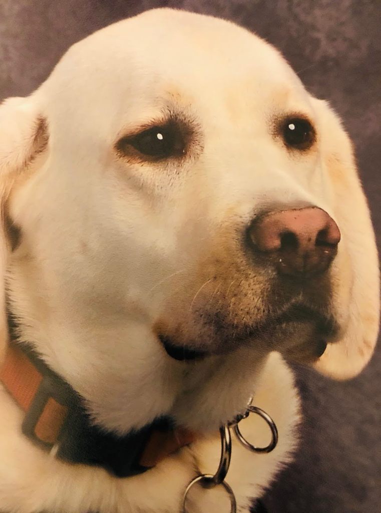 In loving memory of Checkers