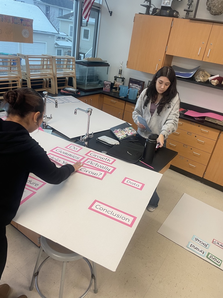 8th graders are working hard on their science fair projects. They will be showcasing their hard work on Jan. 14, 2026!