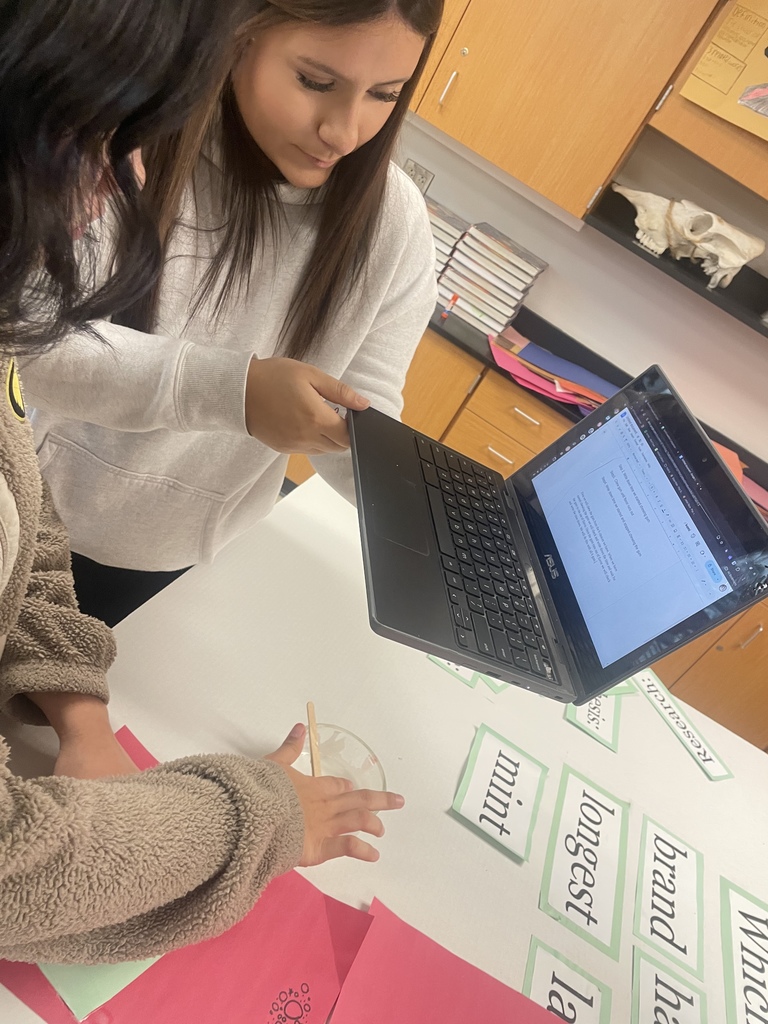 8th graders are working hard on their science fair projects. They will be showcasing their hard work on Jan. 14, 2026!