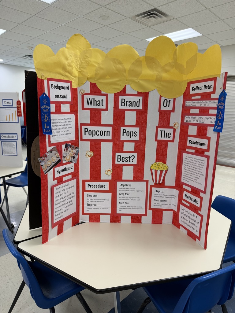 8th grade science fair was a huge success! Thank you to everyone who stopped by last Wednesday to view their hard work and scientific endeavors.